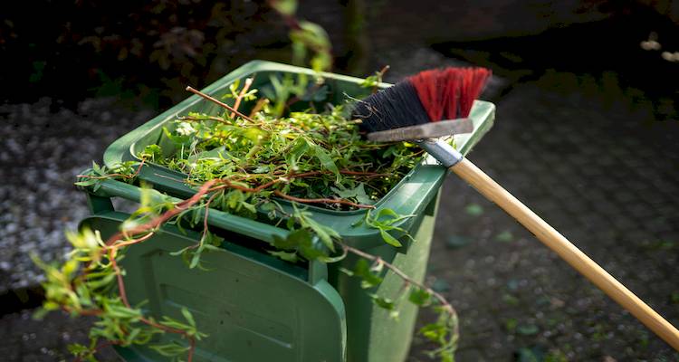 garden waste