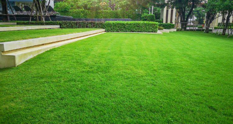 new turf costs