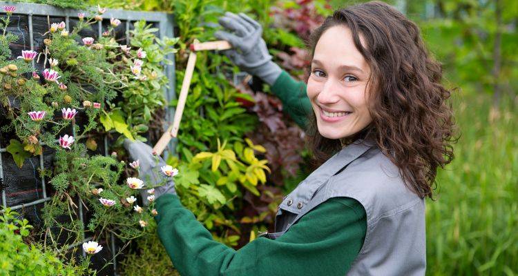 gardener costs