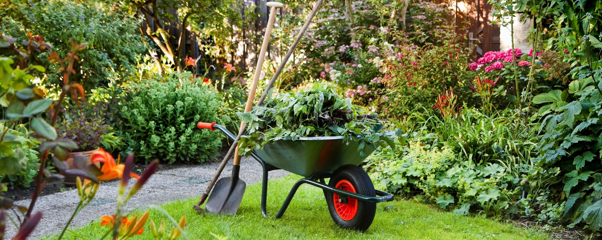 Find A Local Gardener Compare, How To Find A Good Local Gardener