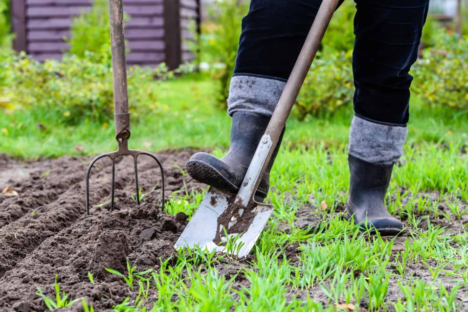 person digging