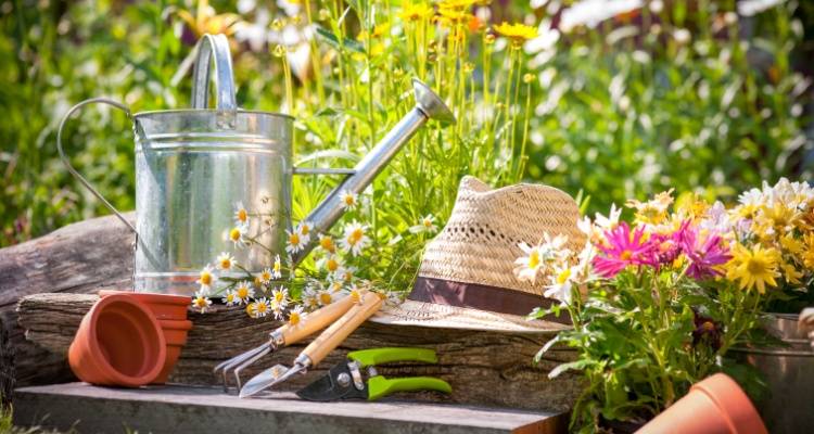 gardening tools