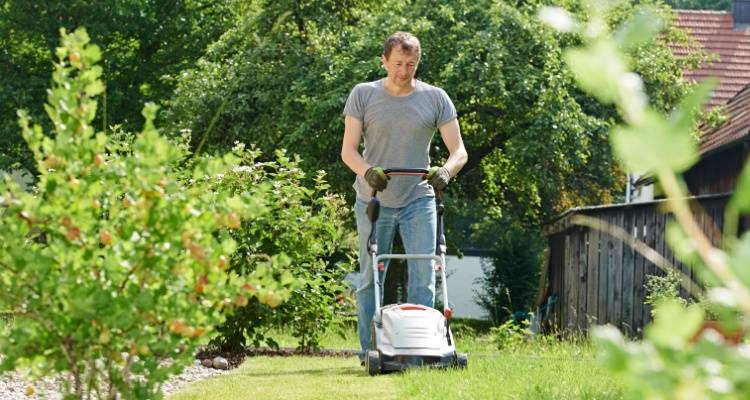 person cutting grass