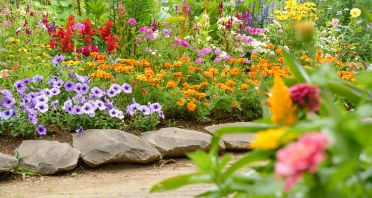 garden