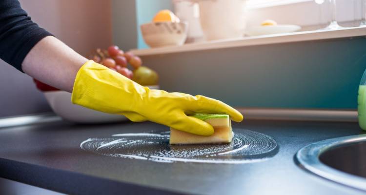 person cleaning kitchen counter