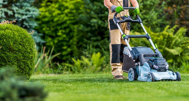 mowing lawn