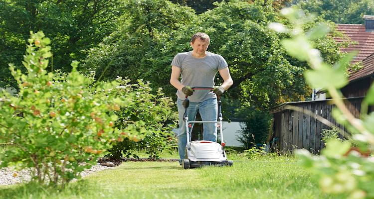 cutting grass