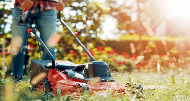 grass cutting