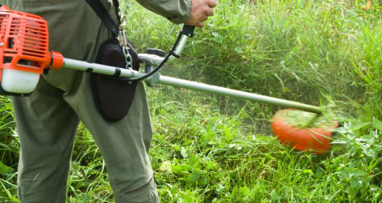 someone cutting grass with a strimmer