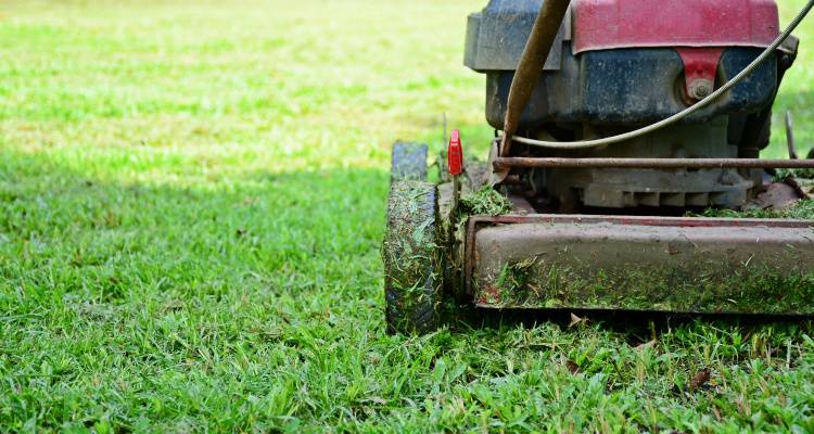 close up of lawn mower