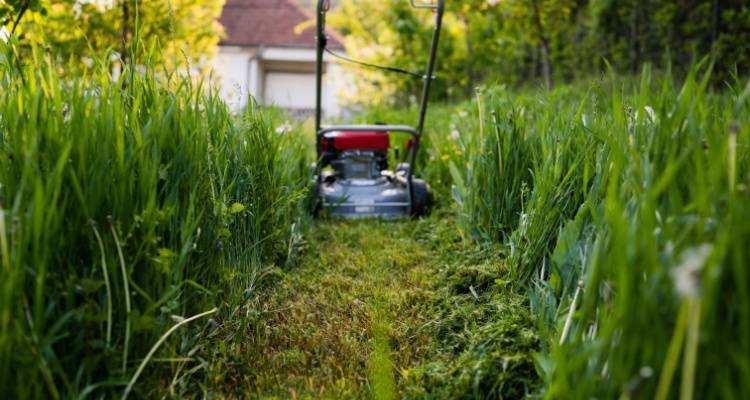 lawn being cut