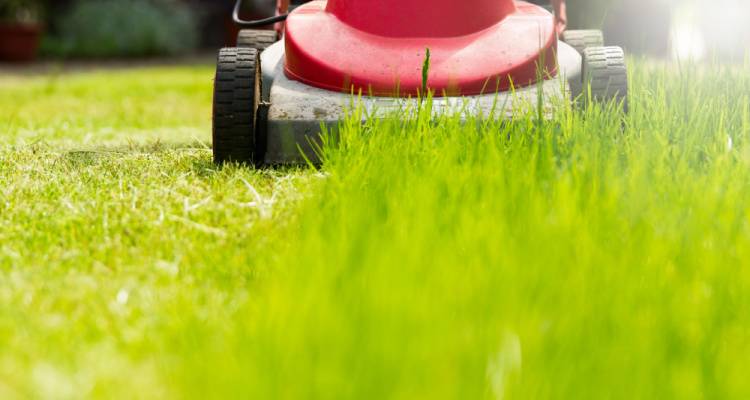 someone cutting grass