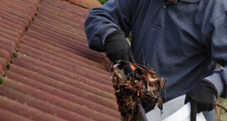 person cleaning gutter