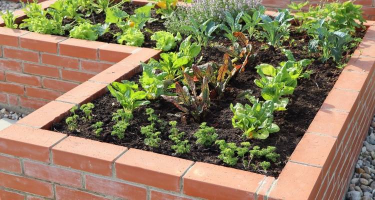 garden planters