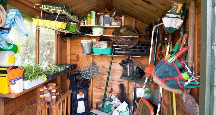 Garden Shed with storage shelf