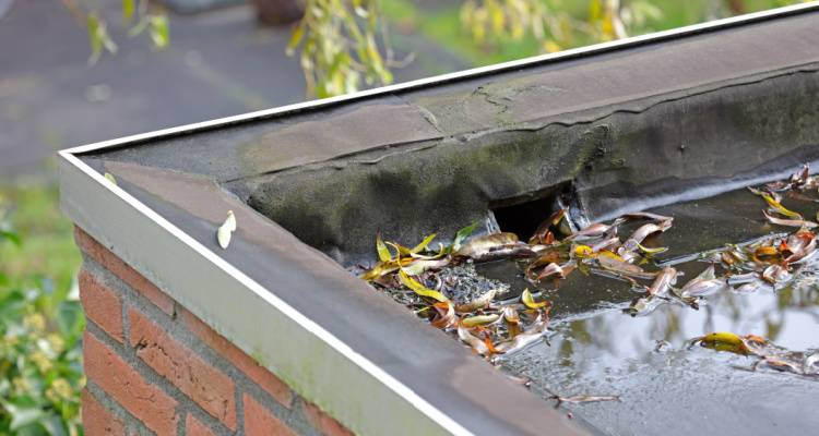 flooded flat roof