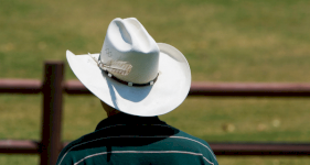 How To Avoid Cowboy Tradesmen