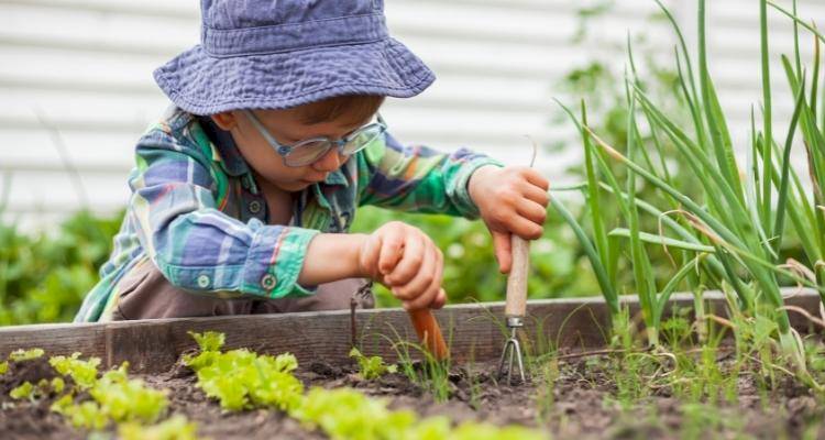 Young child digging garden plants