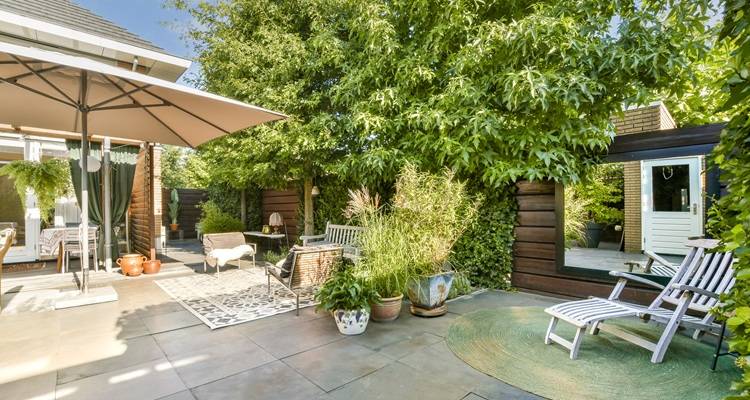 patio with plants