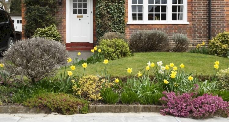 Front garden grass flowers house