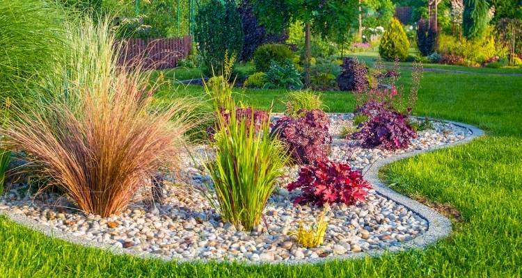 landscaped garden with grass and plants