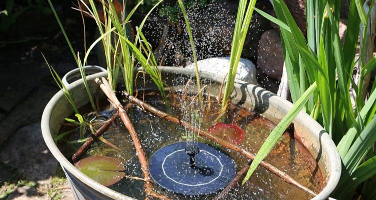 tin bath pond