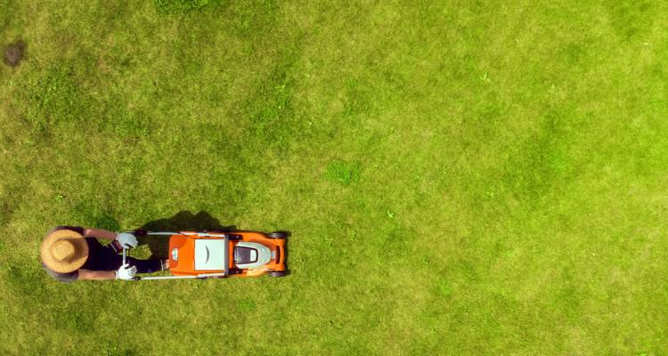 person cutting lawn