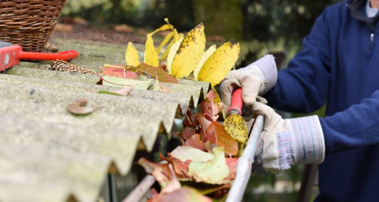 person cleaning gutters