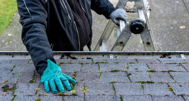 person checking roof