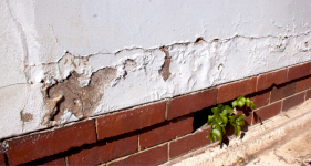How To Treat: Rising Damp