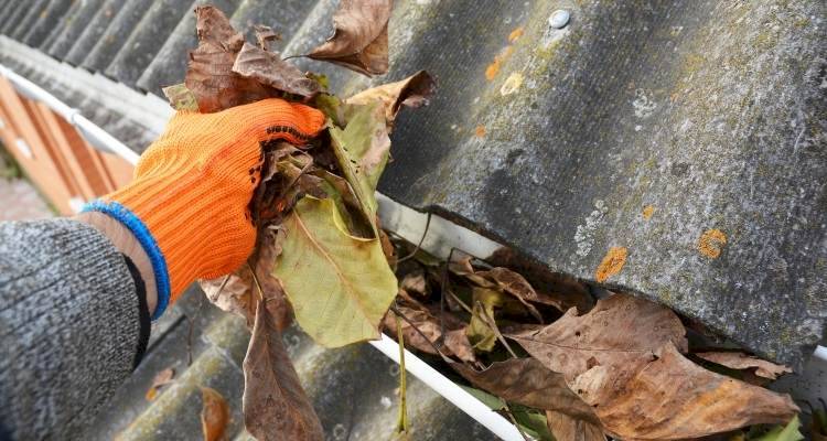 hand removing leaves from gutter