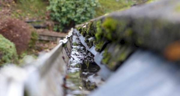 dirty gutter with moss