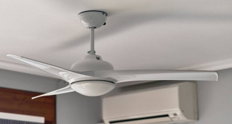 Dual-motor Ceiling Fans