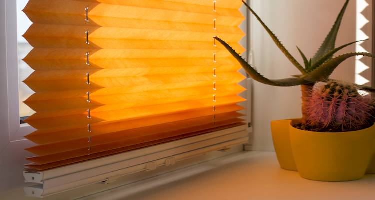 pleated blinds