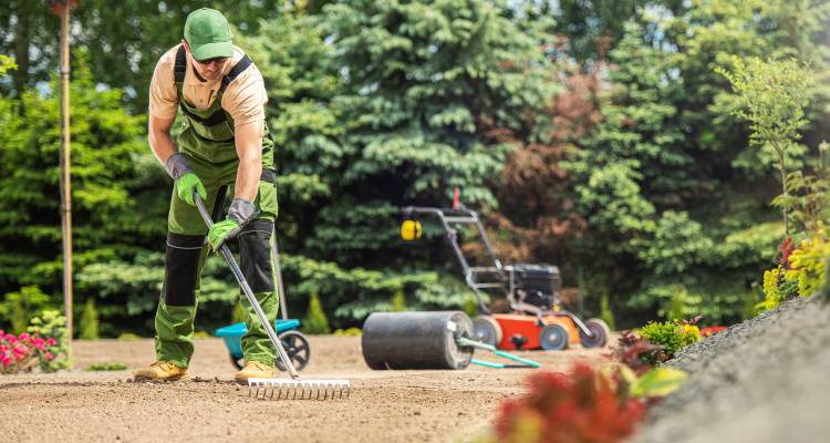 gardener raking