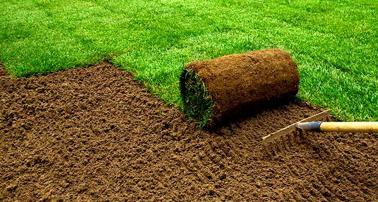 new turf costs