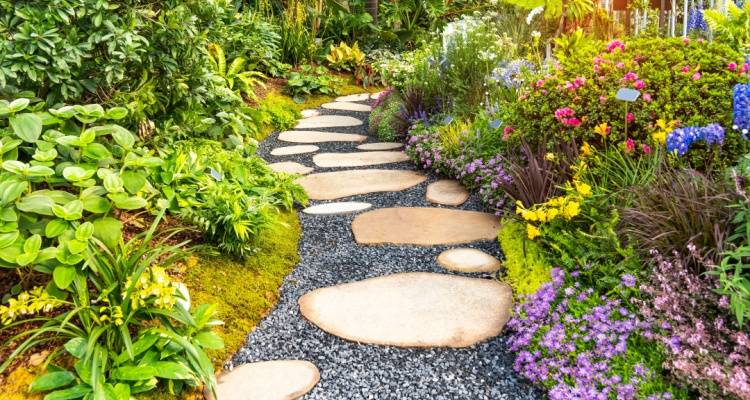 landscaped garden