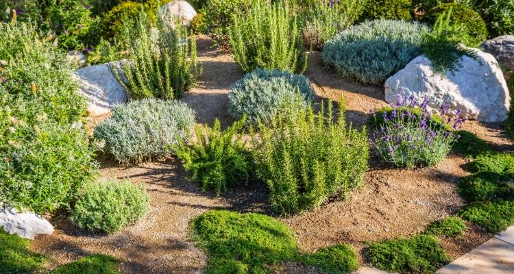 landscaped garden
