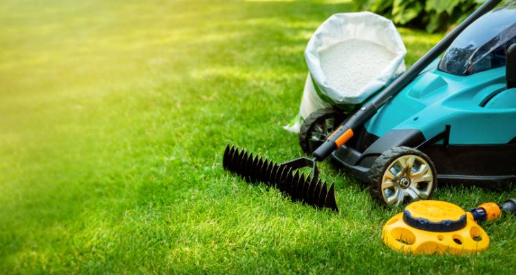 lawn care equipment