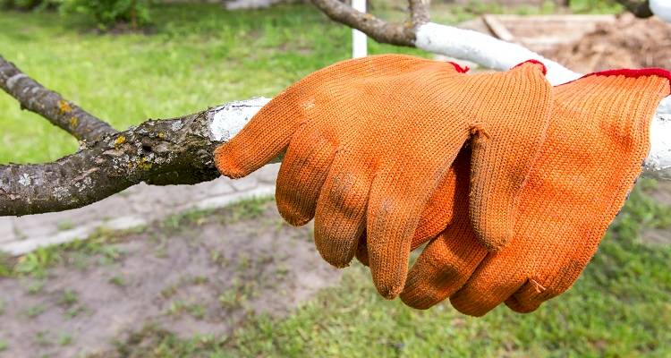 garden gloves