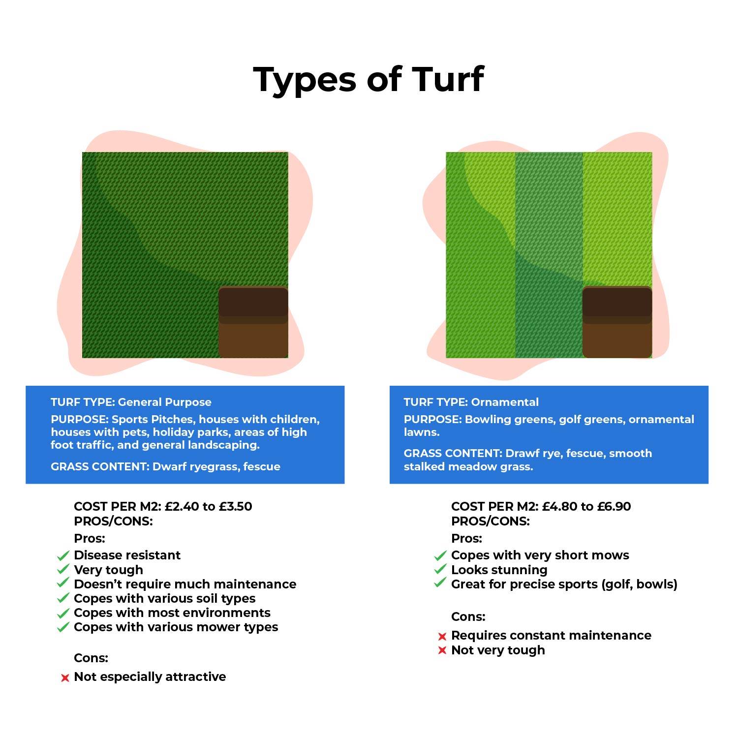 pros and cons graphic