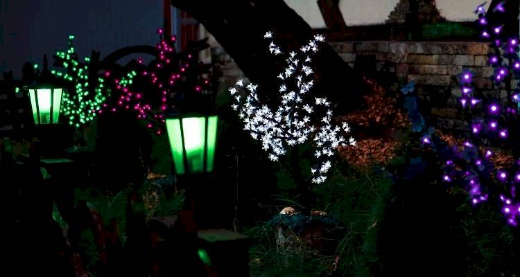 coloured lights that look like flowers