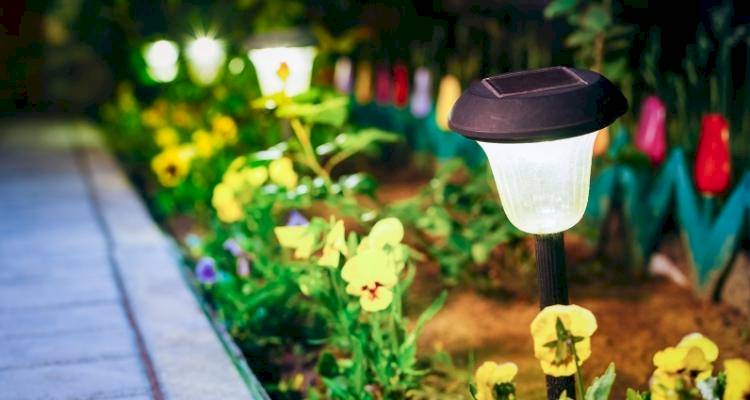 Lights along the edge of a garden path