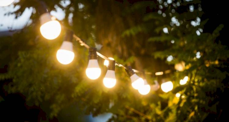 Lights strung across a garden