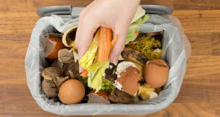 food waste bin