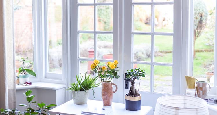 closed french doors