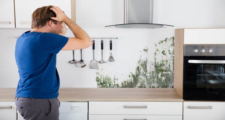 mould development in a kitchen on the wall