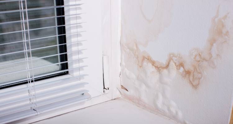 Penetrating Damp Treatment Cost