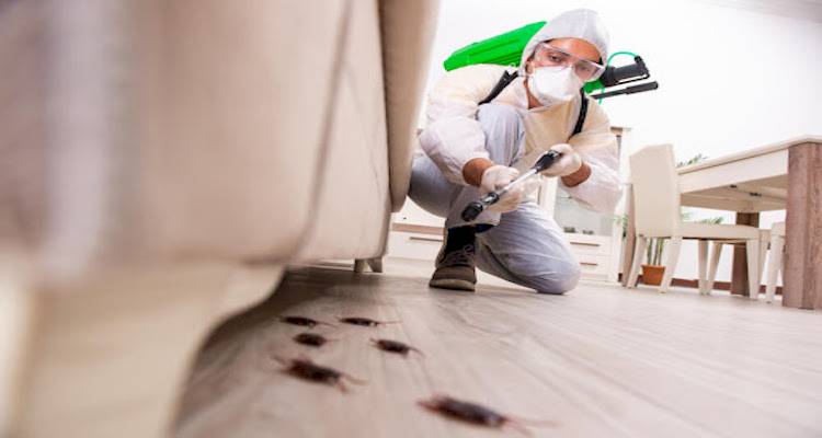 Pest control benefits