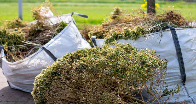 garden clearance